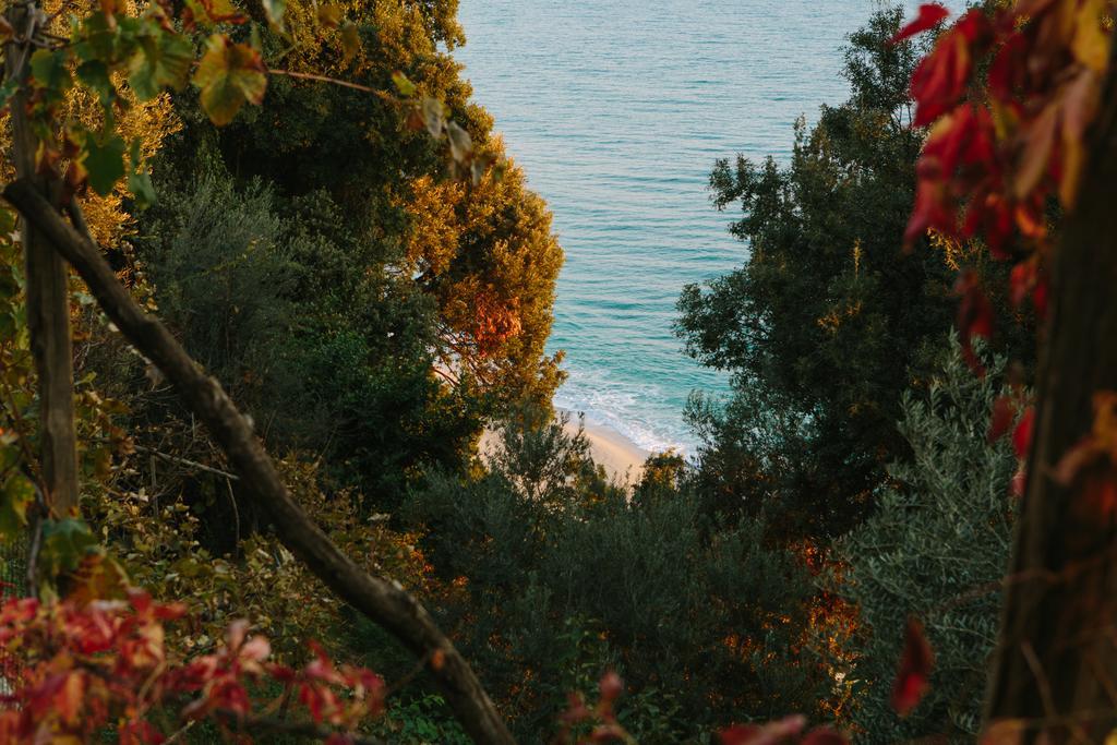 Το Μπαλκόνι Ξενοδοχείο Χορευτό Εξωτερικό φωτογραφία